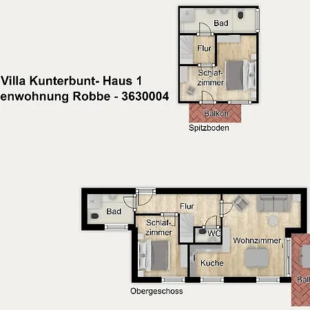 Duenenstraat Robbe *